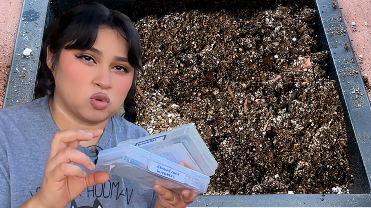 How to Make Potting Mix for the HOA Garden - YouTube