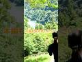 静岡廃村 秘境に存在するジブリのような日本の無人集落 #shorts