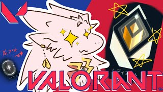 【ドラゴンV】アーカイブ残しません❗️【VALORANT】