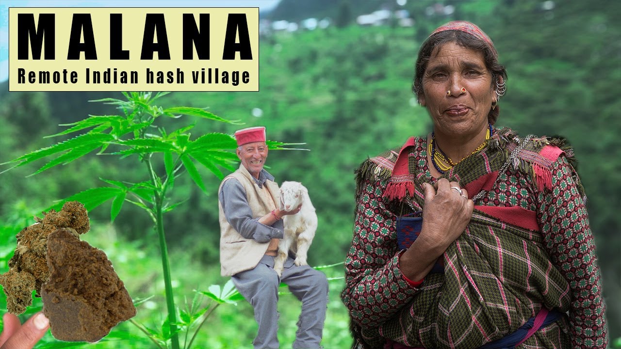 MALANA HASH Village  The Untold Truth Official Documentary