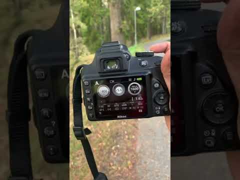 Video: Kas Nikon d3400 on peegelkaamera?