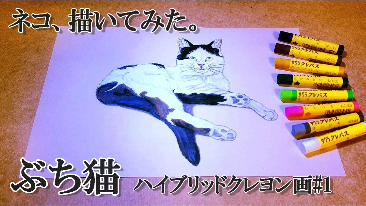 ネコ 描いてみた 猫のイラスト ハイブリッド クレヨン画 Cat Illustration How To Draw A Cat ぶち猫 サクラ クレパス 猫の描き方 リアル うちの猫 牛柄猫 Youtube
