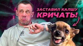 видео: ШОК! ОДОБРИЛИ КРЕДИТ 68🍋! | БАНКРОТСТВО | Кузнецов | Аллиам картинка: ШОК! ОДОБРИЛИ КРЕДИТ 68🍋! | БАНКРОТСТВО | Кузнецов | Аллиам