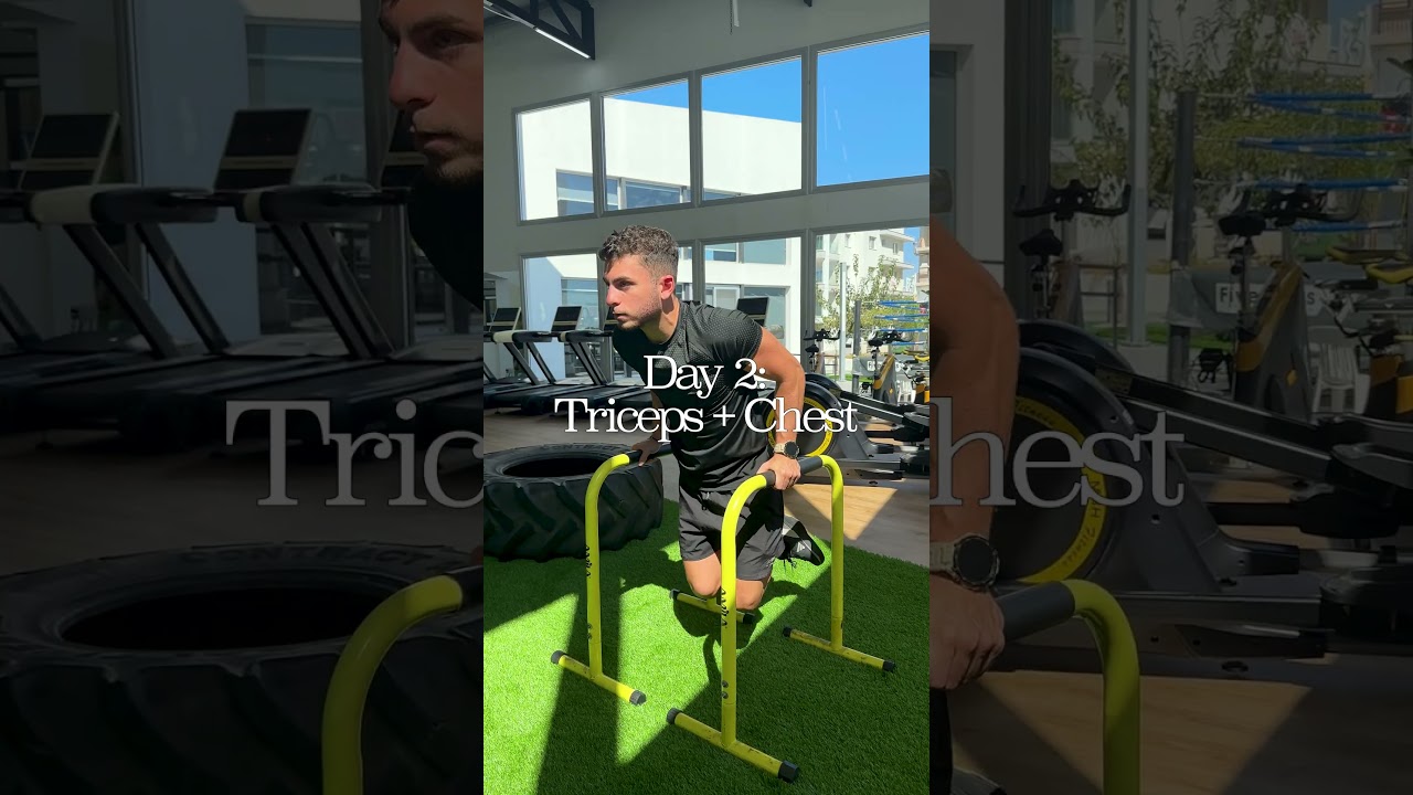Full Body Workout