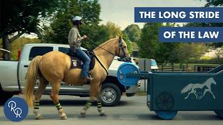 How Police Horses Are Trained with the Kentucky Police Department | Reconnecting Roots