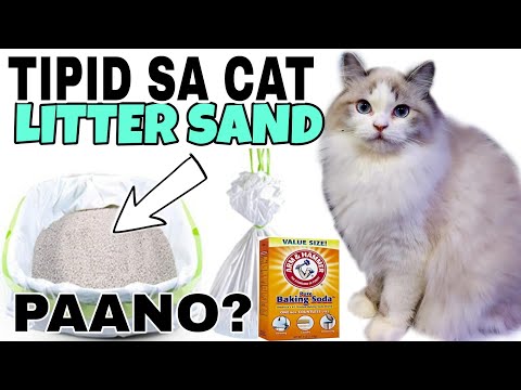 Video: 3 Mga paraan upang Itapon ang Litter ng Cat