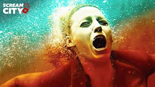 Blood In The Water The Shallows Blake Lively