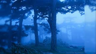 Watch Ollie Mn Evening Blue video