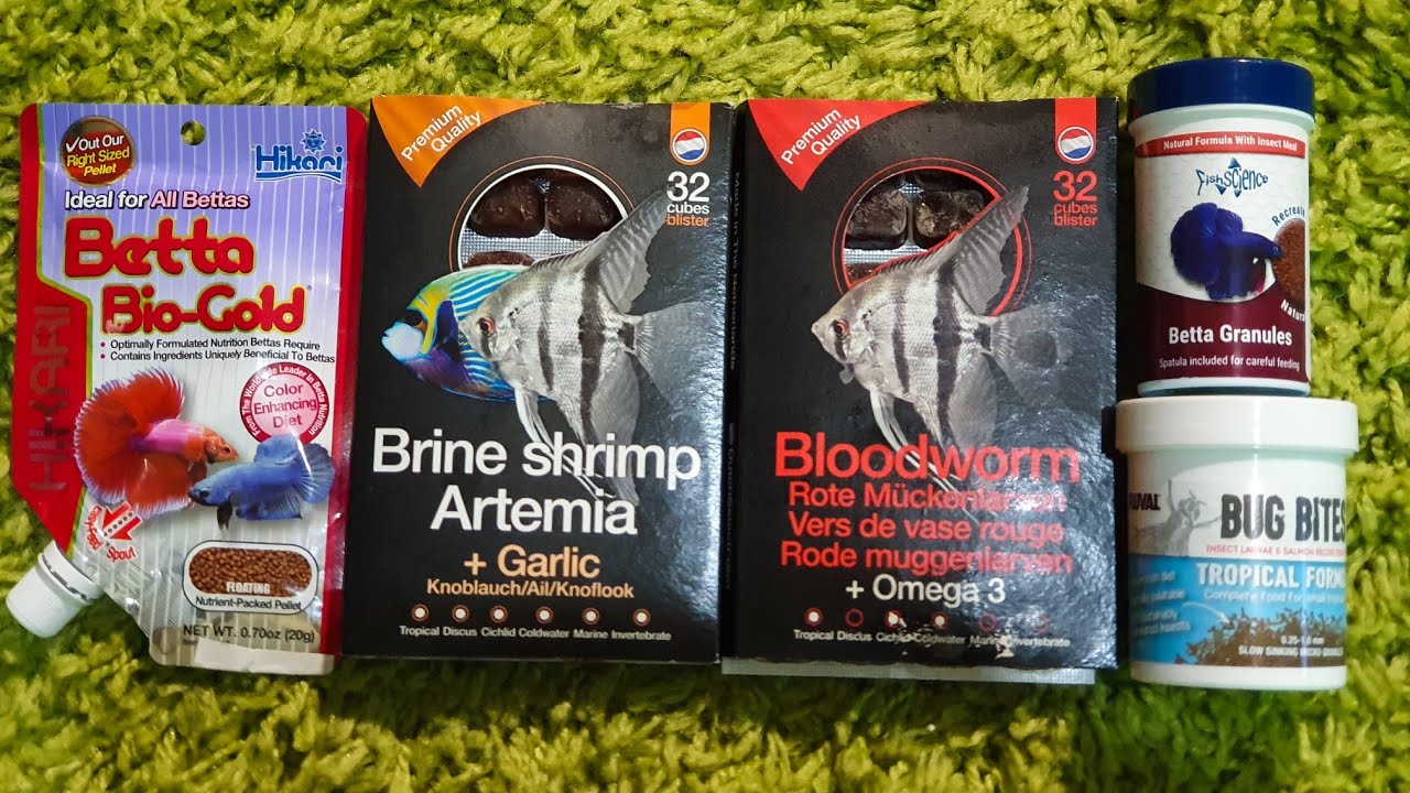 Top 5 Most Popular Betta Foods As by Betta Owners