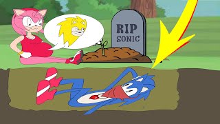 Sonic Super Vs Scp 069, Shadow The Hedgehog, Eggman - Sonic And Amy Squa -Kim Jenny 100