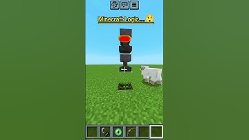 Minecraft Logic...😲 wait for end 😲 New Minecraft video #shorts #minecraft #gaming