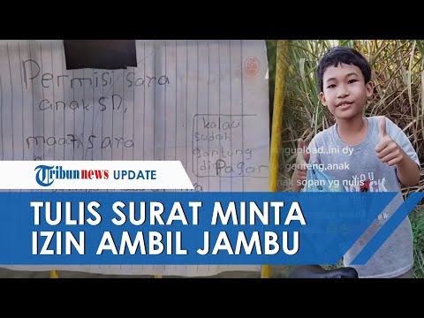 Viral Video Bocah SD Tulis Surat untuk Minta Izin Ambil Jambu Air di Pekarangan Rumah Warga