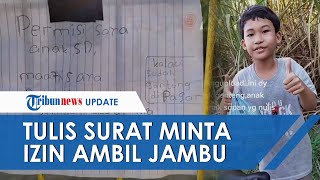 Viral Video Bocah SD Tulis Surat untuk Minta Izin Ambil Jambu Air di Pekarangan Rumah Warga