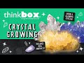 Thinkbox crystal growing