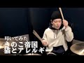 きのこ帝国-"猫とアレルギー" ドラム叩いてみた Drum Cover