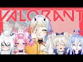 【🔴Valorant】มือขวาของข้า จงยิงคมบัดเดี๋ยวนี้! w' Vtuberz【MIPMIP | FLORA Project】
