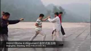 Hand Elbow Alignment Trailer