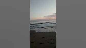 Ahmet Kaya[Kum Gibi] Islık