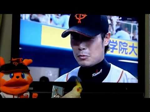 亀井選手復帰　先頭打者ＨＲ