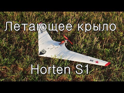 Летающее крыло Horten S1, Flying wing Horten S1