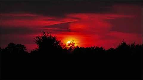 تلاوة تريح القلوب و تطيب بها الأنفس راحه لاتوصف اجمل ماسمعت