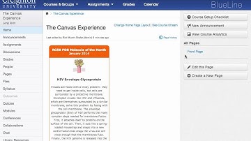 Custom Widget as iFrame in Canvas