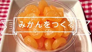 【スイーツデコ・透明粘土】♯４　みかんをつくる～作業風景～　 DIY・Sweets Deco「Mandarin orange」Work scene