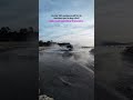 Mahindra Thar vs River 💦 | Real 4x4 Test 🔥
