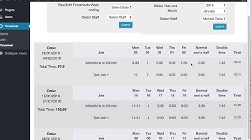 TimeSheet Video demo