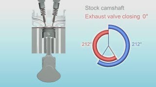 Engine camshaft animation (500-7000 rpm at the end)