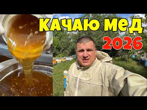 🍯 Harvesting honey 2026! First honey of this season