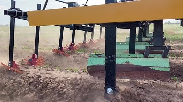 Finger weeders operating in seedling cotton to control in-row Palmer Amaranth.
