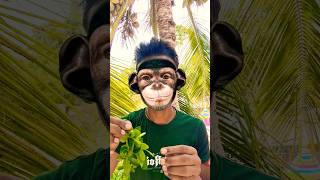 Baby Monkey Puffs Up His Cheeks with Grapes 🍇🐒