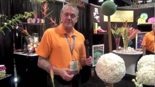 TSE 2012:  Smithers Oasis Booth
