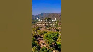 تلاوة خاشعة بصوت جميل ومؤثر يريح القلب #elmulquranعلم #قران_كريم #تلاوة #المصحف #اكسبلور #لايك