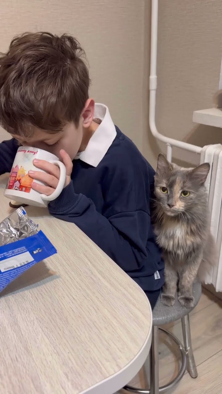 Bébé chaton très mignon ♥️ ♥️ ♥️ ♥️ ♥️ ♥️ ♥️ ♥️ ♥️