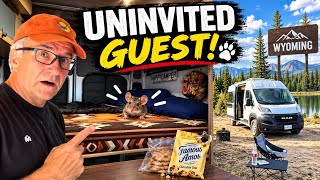 WYOMING VANLIFE 🚐 I Picked Up an Uninvited Guest 🐭