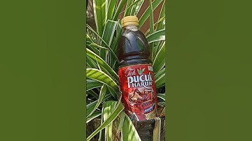 ujian praktek informatika membuat iklan produk