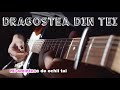 Dan Balan &amp; Katerina Begu – Dragostea Din Tei ( guitar cover )