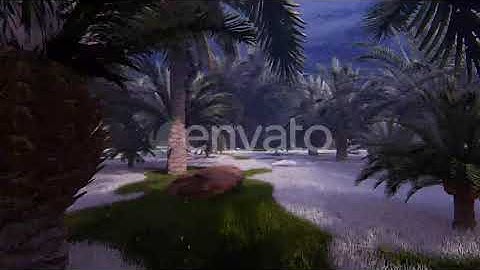 Winter And Palms 2K | Motion Graphics - Envato elements