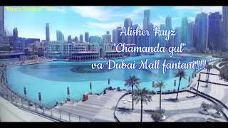 Alisher Fayz “Chamanda Gul” va Dubai Mall fantani | Dubai Mall fountain dance.