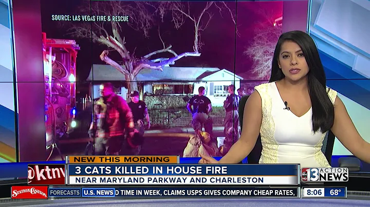 3 cats killed, 2 adults treated for smoke inhalation in house fire