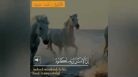 القارئ اسد حمود سورة العاديات