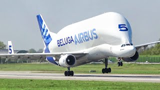 (4K) 20 Minutes of Airbus Beluga Landings and Take-offs - A Weird &amp; Impressive Plane!