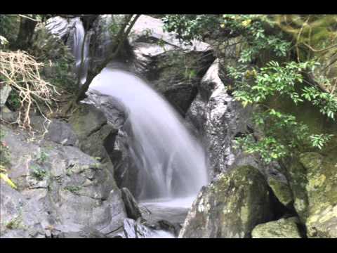 羅大佑 家 原音