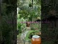 #music# Mưa gió tối thui ở quê nhà em chúc cả nhà buổi trưa vui vẻ e xin 1like 1đăng ký ạ