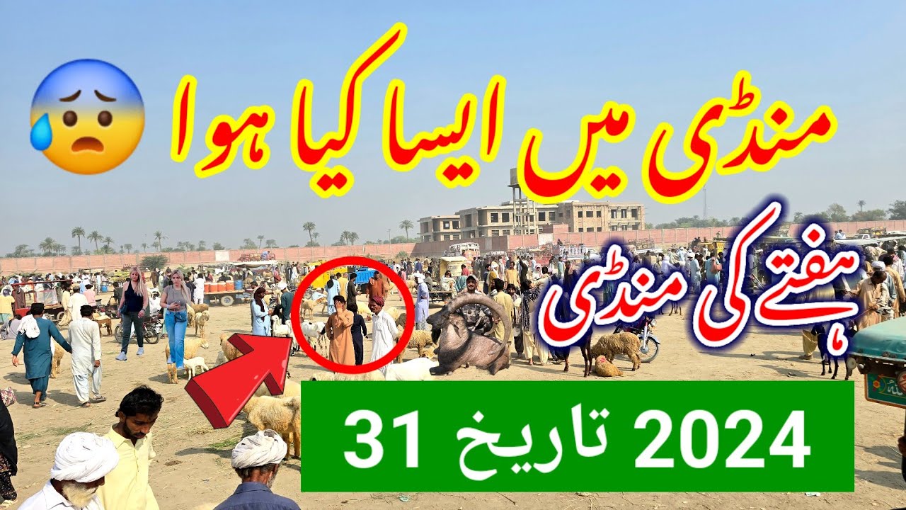 Mandi Mein Kya Hua Mandi Ke Kya Rate Hai Dera Ghazi Khan Ki Sabse mandi-mein-kya-hua-mandi-ke-kya-rate-hai-dera-ghazi-khan-ki-sabse
