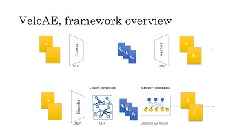 Representation learning of RNA velocity reveals... - Chen Qiao - MLCSB - Talk - ISMB/ECCB 2021