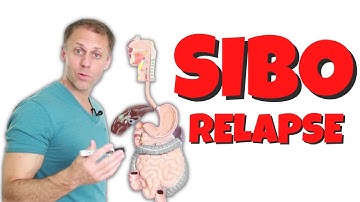 How to Avoid SIBO Relapse (Small Intestinal Bacterial Overgrowth)