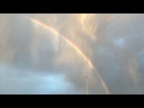 How Much Of The Book Of Psalms Did Allah Write